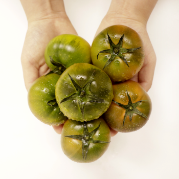 산지직송 부산 대저 짭짤이 토마토 2.5kg